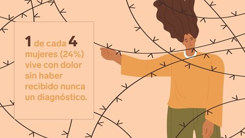INTIMINA LOCAL PR SURVEY ILLUSTRATIONS 1920x1080 03